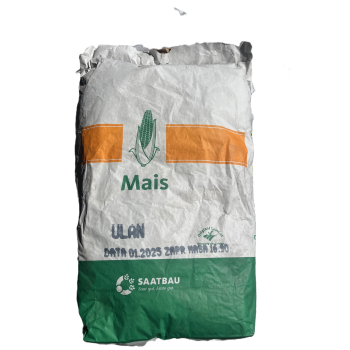 KUKURYDZA UŁAN 50 tys